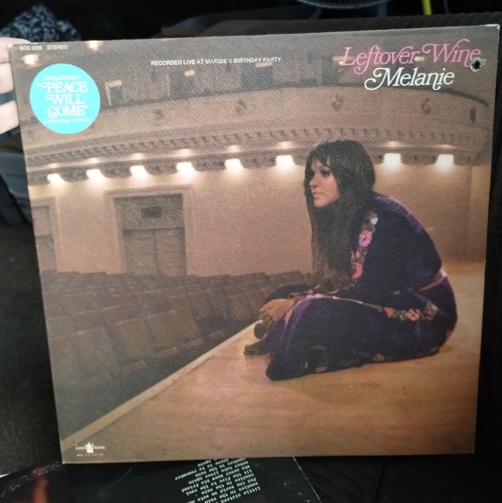 Melanie Vinyl Record-Leftover Wine